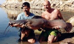 Paul Ciaputa with a 78-pound Vundu caught ledgering at night at camp